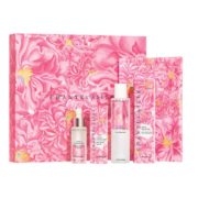 John Derian x Chantecaille 香缇卡 圣诞玫瑰套装