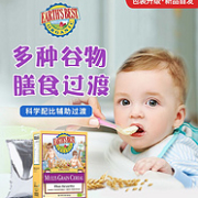EARTH'S BEST 世界最好 儿有机高铁谷物米粉糊 227gx2件