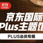 某东国际PLUS主题馆