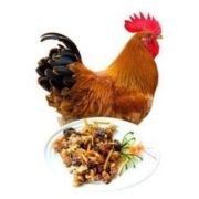 潭牛 文昌散养小公鸡 净重1kg *3件