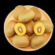 顾然优品 黄心猕猴桃 单果50-70g 10个 *3件