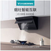 VIOMI 云米 CXW-260-VC503 + JZT-VG203 烟灶套装