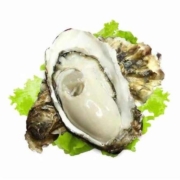 百亿补贴：乳山 鲜活带壳生蚝海蛎子 XL 净重6斤