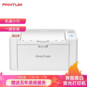 PANTUM 奔图 P2206 黑白激光打印机