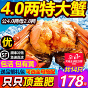 副会长单位 阳澄湖大闸蟹 全母蟹 共14只 单只2.8两