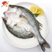 PLUS会员：YUFENG裕峰 白蕉海鲈鱼 400g*3条