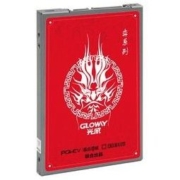 GLOWAY 光威 弈系列 固态硬盘 240GB