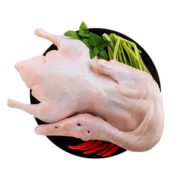 肉质鲜美！老杜 崇明农家散养樱桃谷鸭 1050g*2只