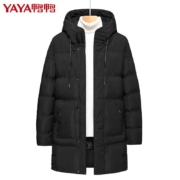 百亿补贴：鸭鸭 中长款 连帽棉衣 棉服
