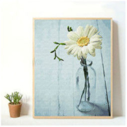 非之语 DIY数字油画 40*50cm 黑白板