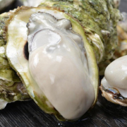 乳山生蚝鲜活新鲜水产特大带壳10斤