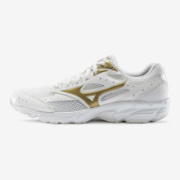 1日0点： Mizuno 美津浓 CN D1GH202803 女款跑步鞋