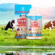 泰国原装进口！Diycaki 皇家益生菌酸奶片 450粒大瓶装