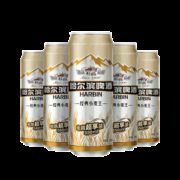 哈尔滨 小麦王啤酒 550ml*20听