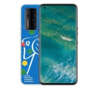 6日10点：坚果 R2 12GB+256GB 松绿色 双模5G智能手机