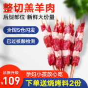 撸串串 内蒙6月龄羔羊 腿肉羊肉串 120g*8袋 共48串
