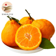 静益乐源 不知火丑橘 丑柑 3斤装 *3件
