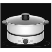 Midea 美的 MC-DY26Easy501 电火锅 标配