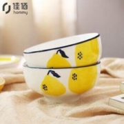 佳佰 柠檬手绘陶瓷饭碗2个装*3件