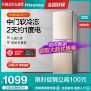 海信 三开门电冰箱 节能小型冰箱 220L