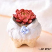 凯天·花航 H-140 红宝石（带盆）