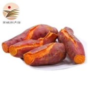 静益乐源 沙地六鳌蜜薯 2.5kg *2件
