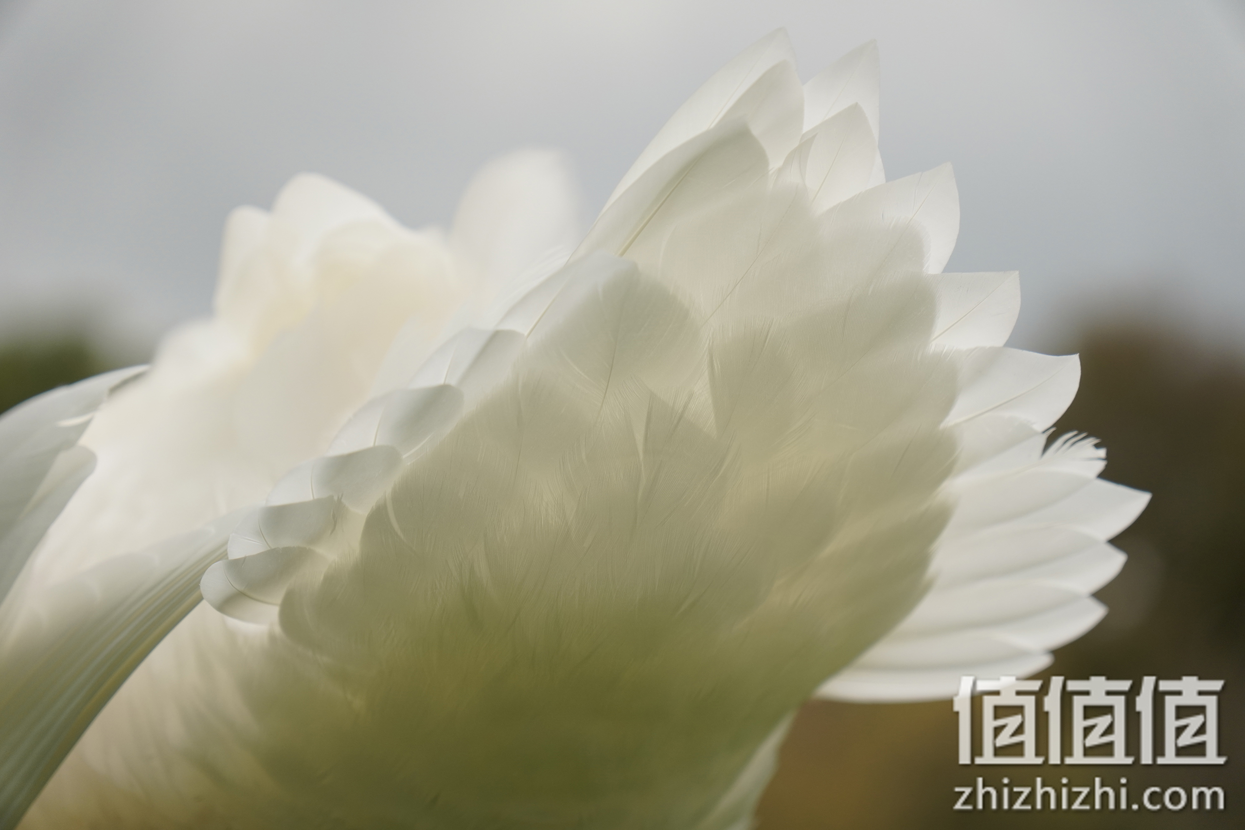 Tamron 腾龙 17-70mm f/2.8 (B070) APS-C画幅 标准变焦镜头实拍样张