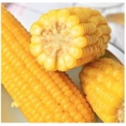 森谷农 东北鲜食甜糯玉米 10支*200g