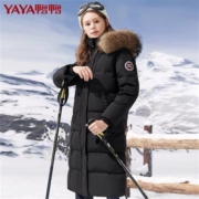 YAYA 鸭鸭 B-58262 极寒系列 女士鹅绒加厚羽绒服