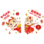 欧博恩 2021新年玻璃门窗花贴 多款可选