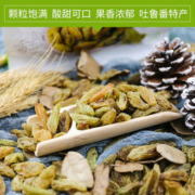 江博尔 新疆葡萄干 500g *2件
