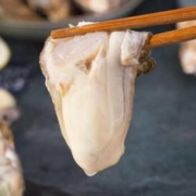 京东PLUS会员： 参味臻鲜 鲜活乳山生蚝 xl号  5斤 *2件