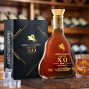 法国（EURO SARL）酒庄 进口金尊XO白兰地 700ml