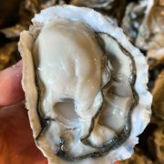 百亿补贴！ wecook 味库海鲜 鲜活乳山生蚝 70-90g/只 带箱5斤