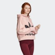 10日0点！ adidas 阿迪达斯 三叶草 HOODIE ED2186 女子套头衫