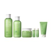 21日0点、黑卡会员！ innisfree 悦诗风吟 绿茶精粹护肤套装（6件套）