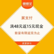 农行银行 X 翼支付 满48元返15元翼支付现金余额