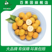 百果园 广西融安脆甜金桔 5斤