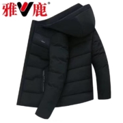 百亿补贴：雅鹿 2020新款 男士连帽加厚保暖棉服