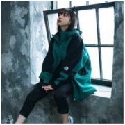 THE NORTH FACE 北面 1994 Mountain Light Jacket 复刻冲锋衣