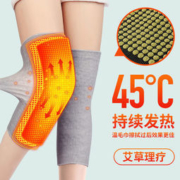 南京同仁堂 自发热老寒腿磁疗艾草护膝