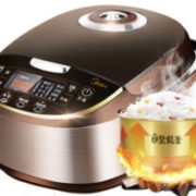 16日0点！ Midea 美的 MB-WFS5017TM 电饭煲 5L 154.5元包邮（前200件）