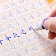 京东PLUS会员： 绍泽文化 魔幻练字套装 楷书常用字 配置练字笔1支+笔芯6支+握笔器1个 *5件