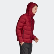 10日0点：阿迪达斯 adidas DZ1426  短款连帽羽绒服