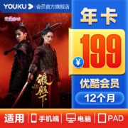 优酷 黄金VIP会员 13个月