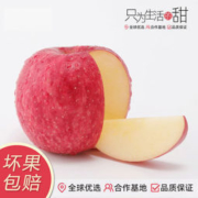 神山果农 高原蜜脆红富士 4.4斤