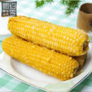 裕道府 东北甜糯玉米棒 200g*10支
