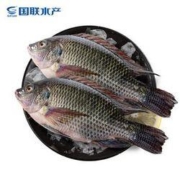 8点：GUOLIAN 国联 三去罗非鱼 700g/2条