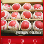 苏子富春 红富士苹果 净重5斤