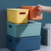百亿补贴！DR．STORAGE 收纳博士 收纳箱 小号 2个装